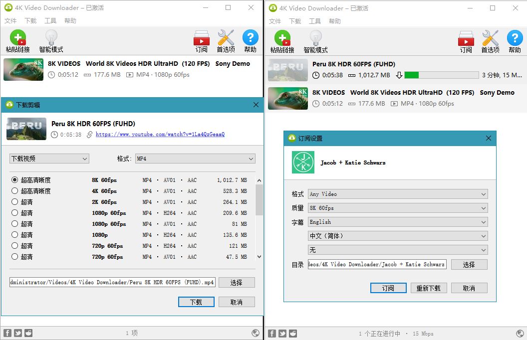 4K Video Downloader v4.20.1 第2张插图