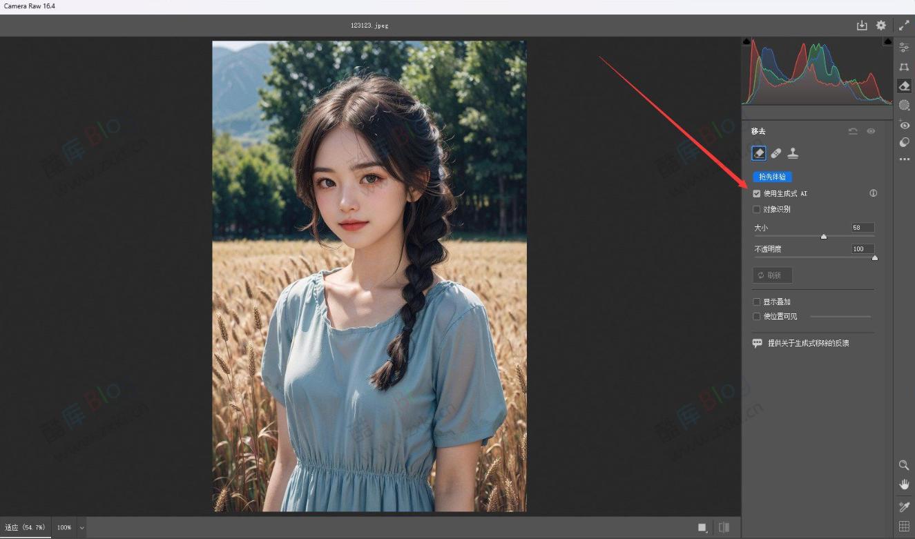 正版免费AdobeCameraRaw x64 16.4版本需要配合PS 第3张插图