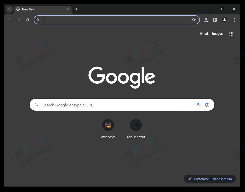 Pissandshittium - 基于 Chromium 优化浏览器 第3张插图