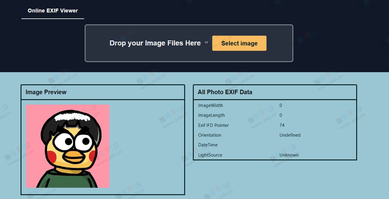 Online EXIF Viewer：在线 查看器 在线查看 数据 第3张插图